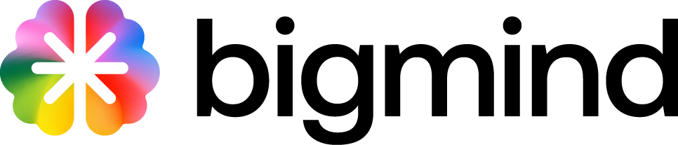 Bigmind logo